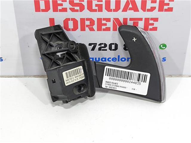 346070013 Peugeot/Citroen