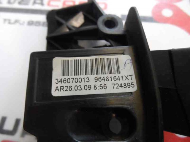 346090013 Peugeot/Citroen