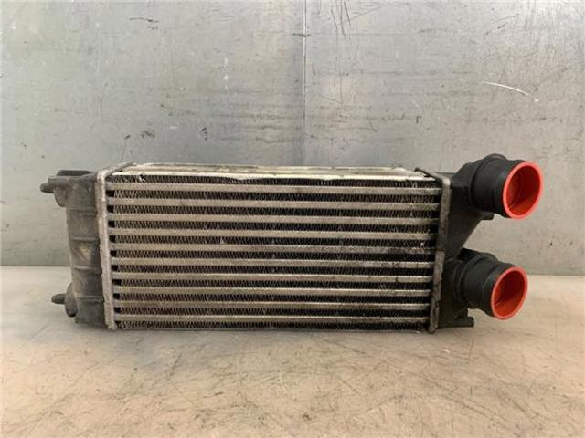 384N9 Peugeot/Citroen