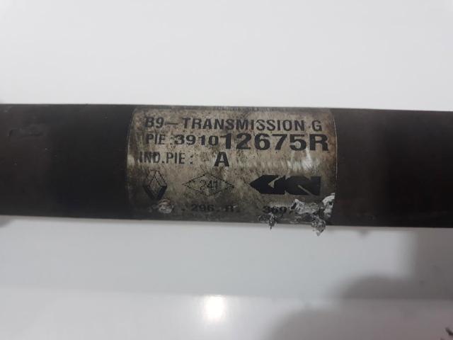 391012675R Renault (RVI)