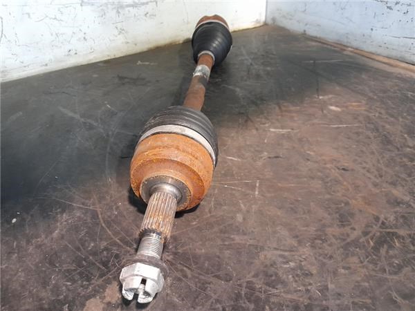 391016491R Renault (RVI)