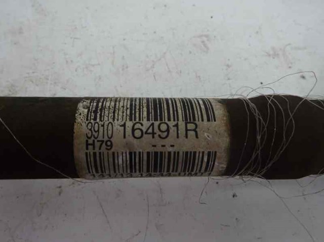 391016491R Renault (RVI)