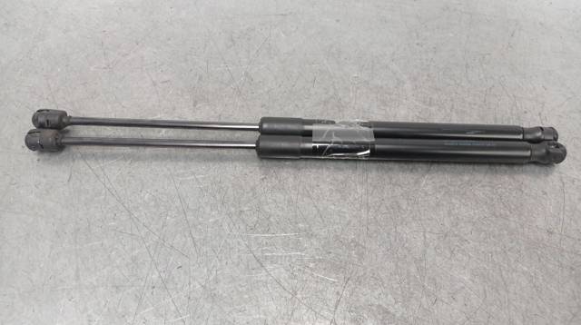 Amortecedor de tampa de porta-malas (de 3ª/5ª porta traseira) 3AF827550B VAG