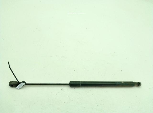 Amortecedor de tampa de porta-malas (de 3ª/5ª porta traseira) 3C9827550C VAG