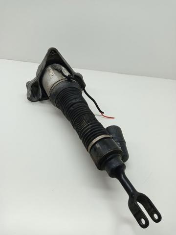 Amortecedor dianteiro esquerdo 3D0616039T VAG