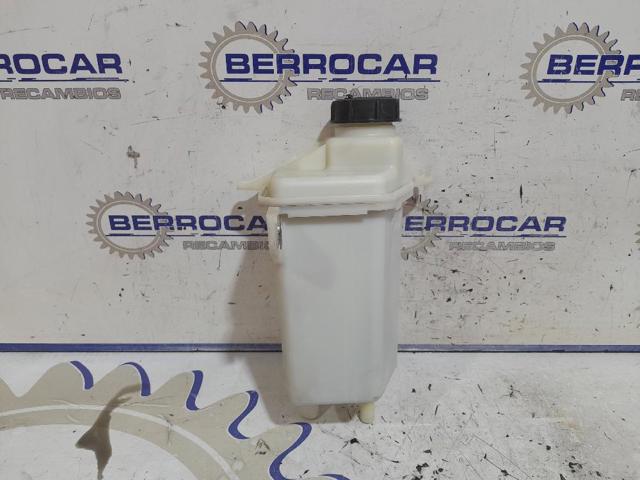 Tanque de bomba da Direção hidrâulica assistida 4009V0 PEUGEOT