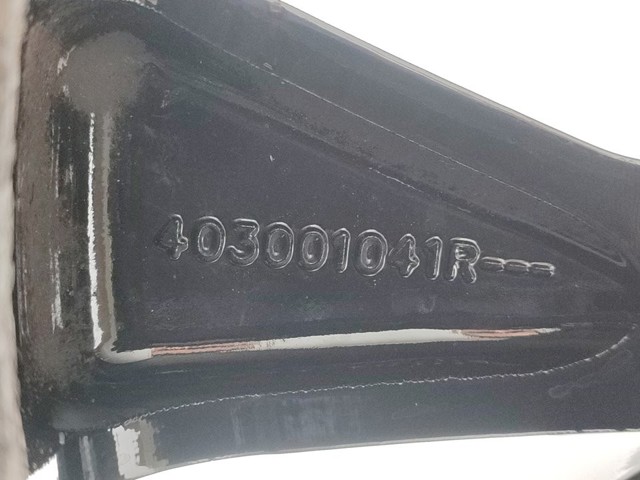 403001041R Renault (RVI)