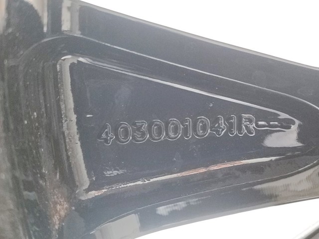 403001041R Renault (RVI)