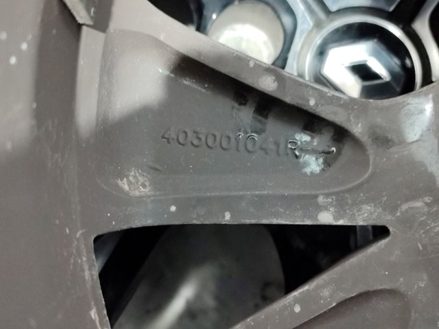 403001041R Renault (RVI)