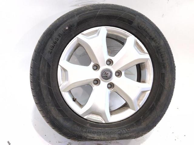 403006101R Renault (RVI)