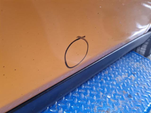 41007327446 BMW