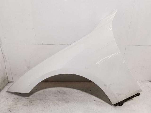 Pára-lama dianteiro esquerdo 41009621597 BMW