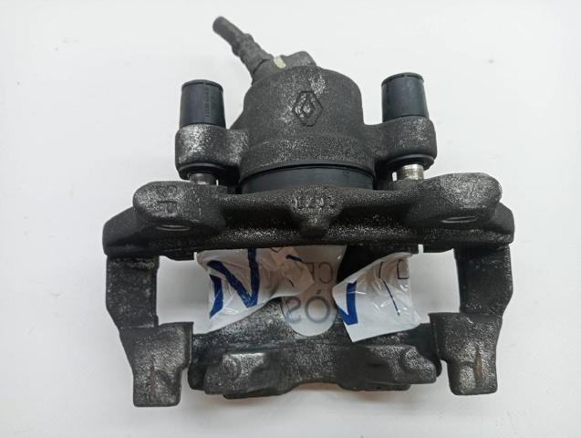 410113834R Renault (RVI)