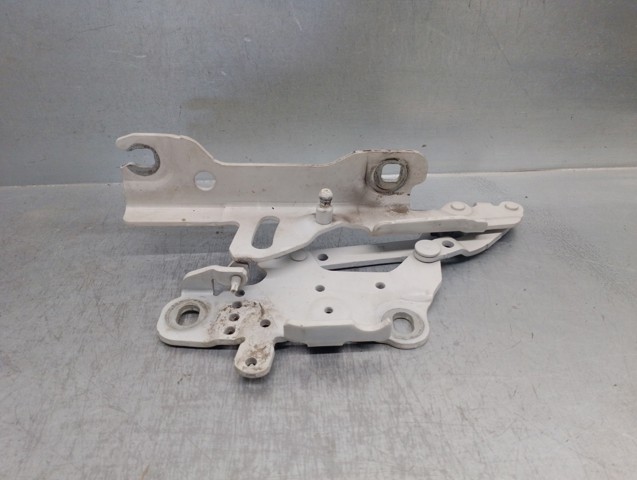Gozno da capota esquerdo 41617286343 BMW