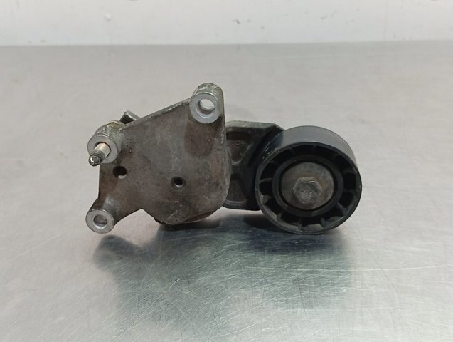 419484 Peugeot/Citroen