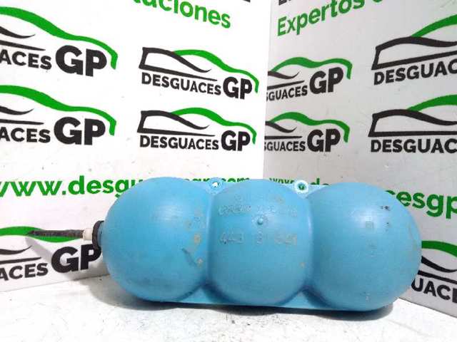 443131541 VAG