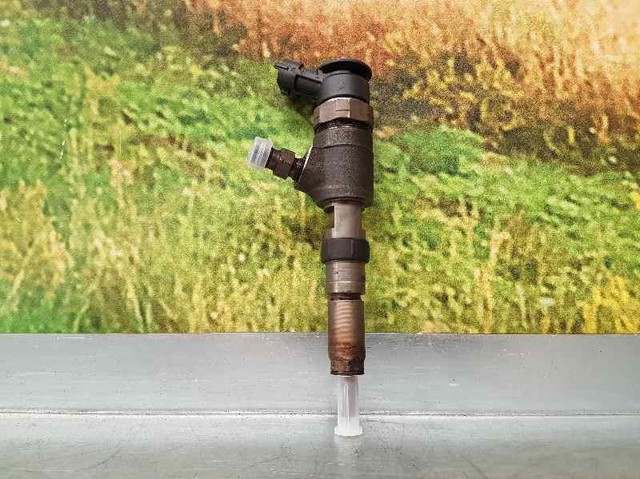 Injetor de injeção de combustível 445110252 PEUGEOT