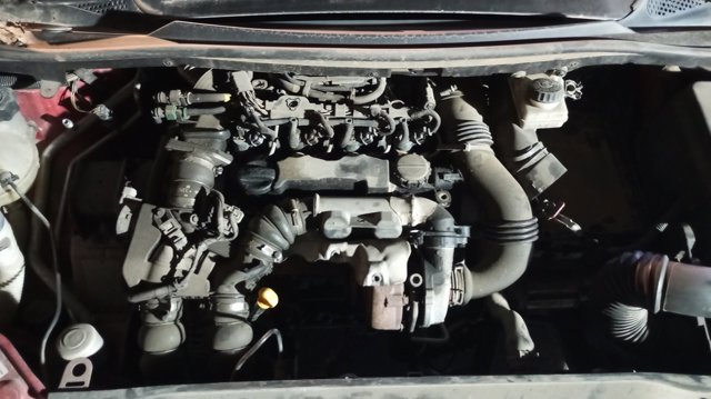 4541J1 Peugeot/Citroen