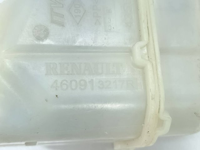 460913217R Renault (RVI)