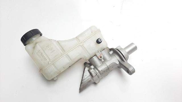 460913217R Renault (RVI)