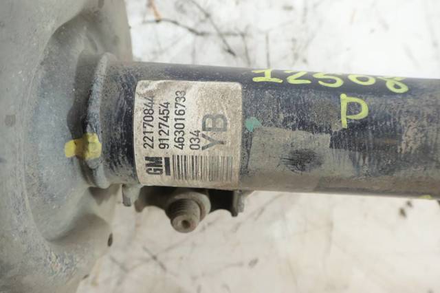 463016733 Opel
