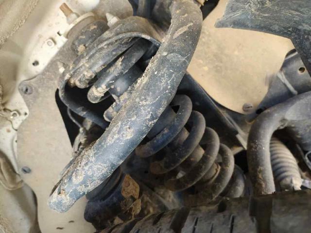 Amortecedor dianteiro para Toyota Hilux GUN12, GUN13