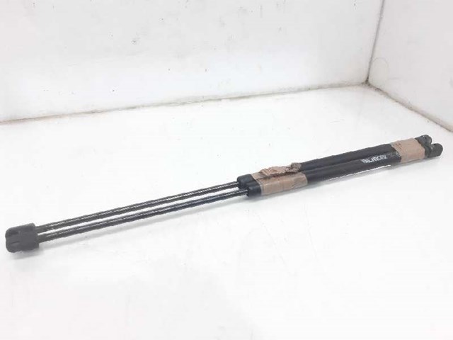 Amortecedor da capota 4854717 GM