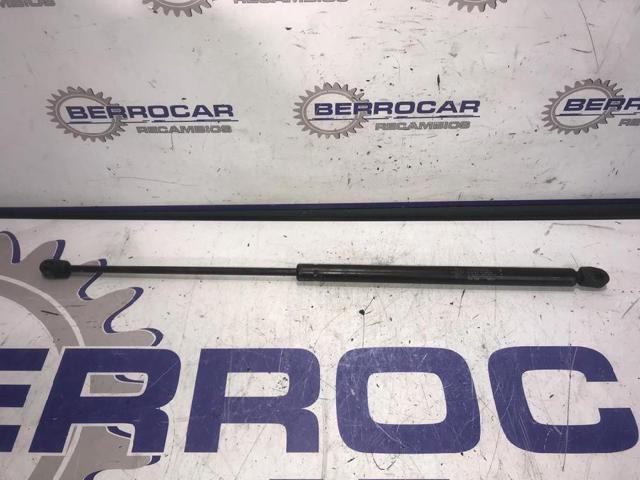 Amortecedor da capota 4854733 GM