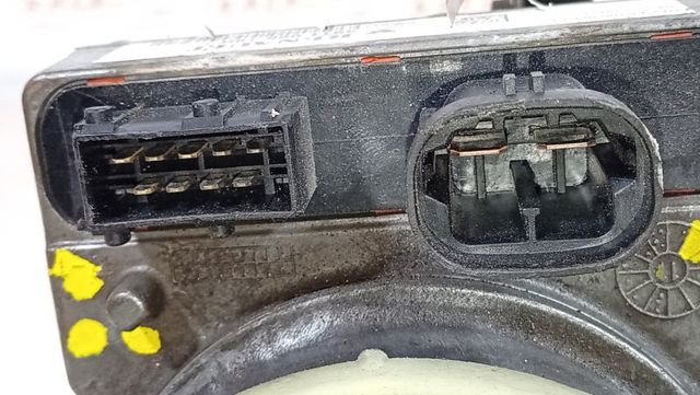 491106619R Renault (RVI)