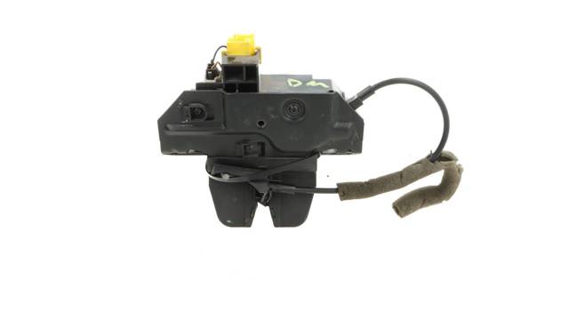 495072894 Opel