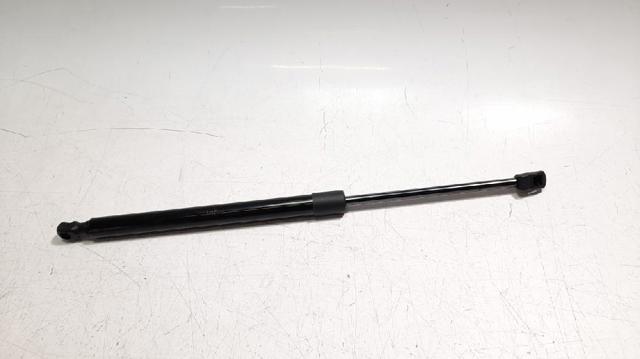 Amortecedor de tampa de porta-malas (de 3ª/5ª porta traseira) 4B9827552N VAG