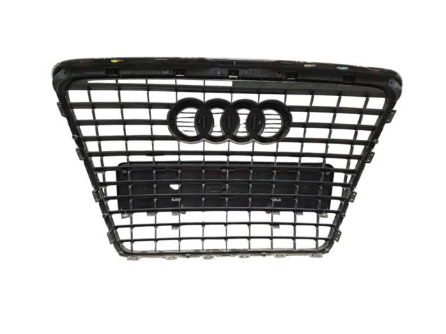 Grelha do radiador para Ford Galaxy WA6