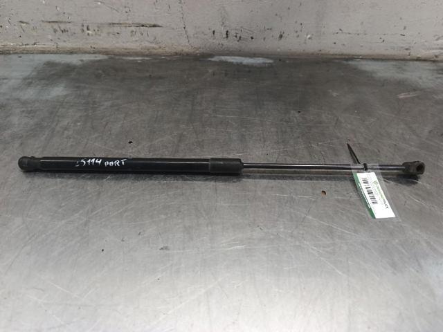 Amortecedor de tampa de porta-malas (de 3ª/5ª porta traseira) 4M0827552A VAG