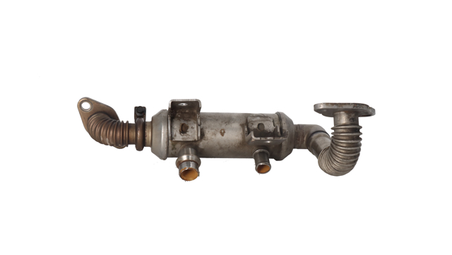 4M5Q9F464BC Ford