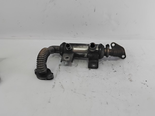 4M5Q9F464BC Ford