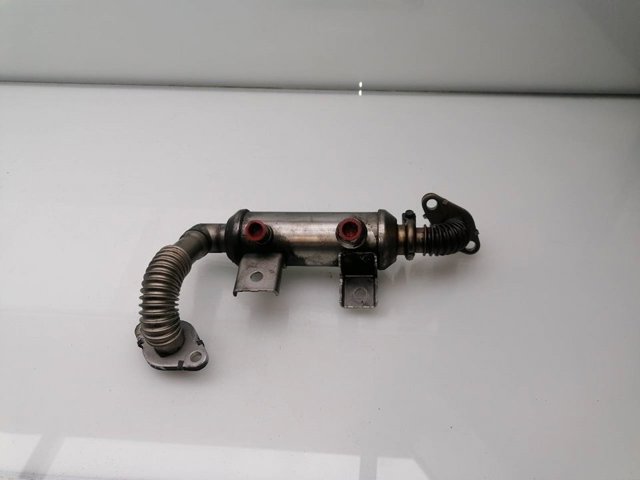 4M5Q9F464BC Ford