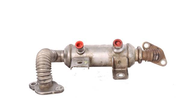 4M5Q9F464BC Ford
