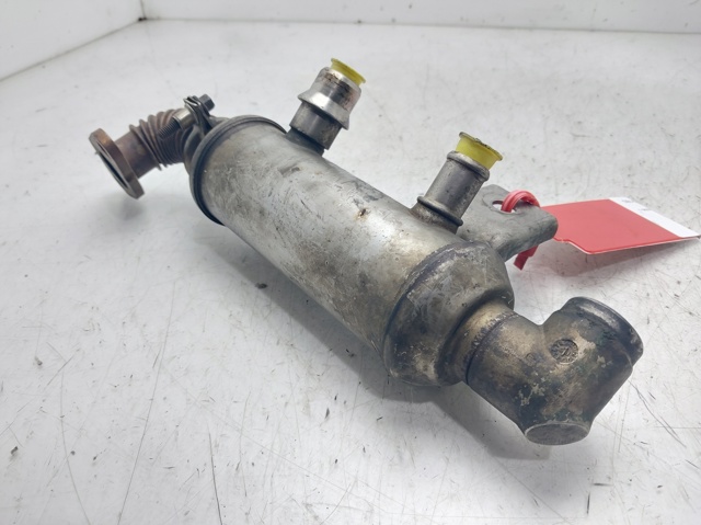 4M5Q9F464BC Ford