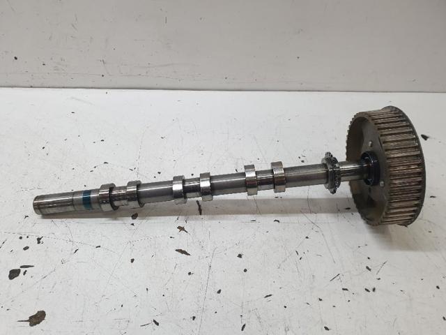 Árvore distribuidora esquerda de escape de motor 4R8Q6A273AC LAND ROVER
