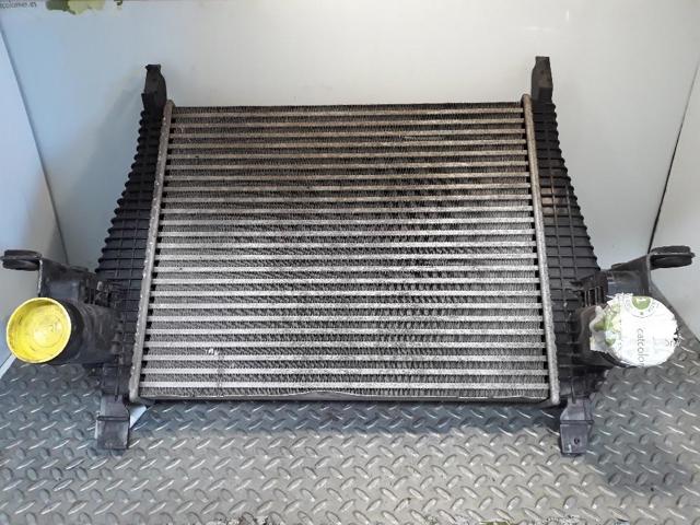 504028467 Iveco
