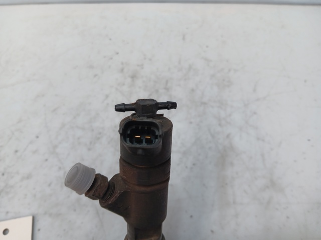 504088755 Iveco