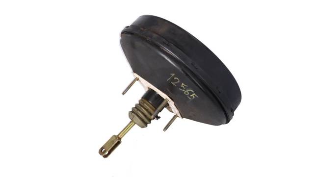 504089707 Iveco