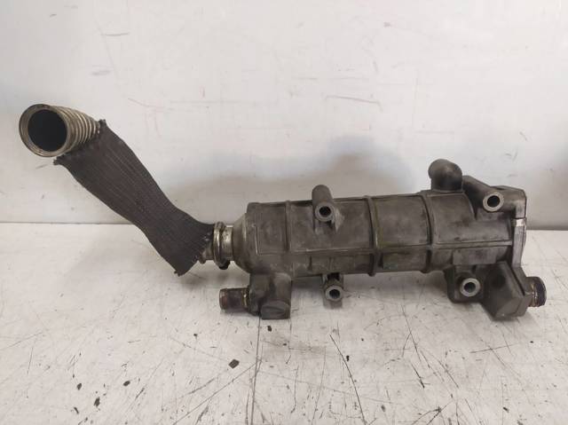 504136967 Iveco