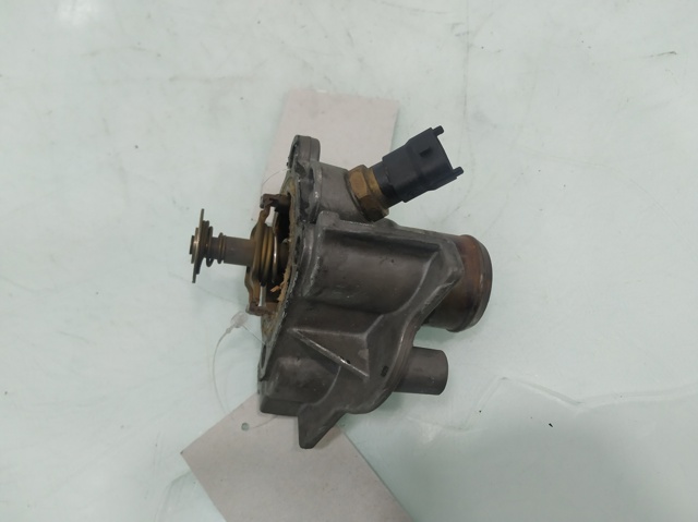 504387382 Iveco