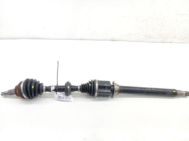 50504034 Fiat/Alfa/Lancia