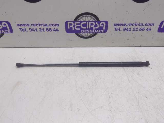 Amortecedor de tampa de porta-malas (de 3ª/5ª porta traseira) 50509830 FIAT