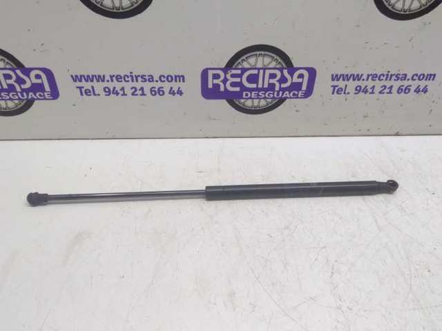 Amortecedor de tampa de porta-malas (de 3ª/5ª porta traseira) 50509830 FIAT