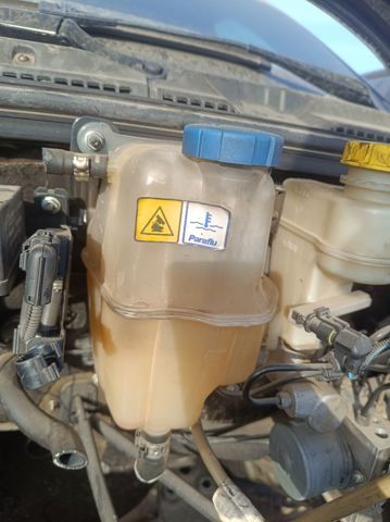 50516508 Fiat/Alfa/Lancia