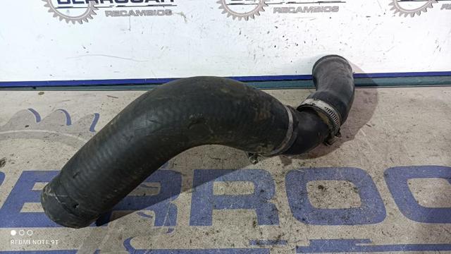 Mangueira (cano derivado) do radiador de esfriamento superior 50520266 FIAT