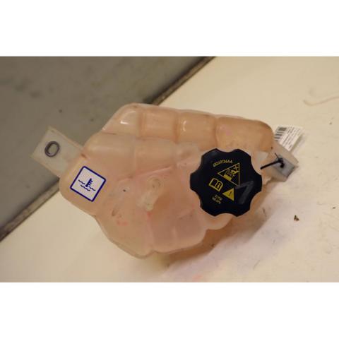 50553219 Fiat/Alfa/Lancia